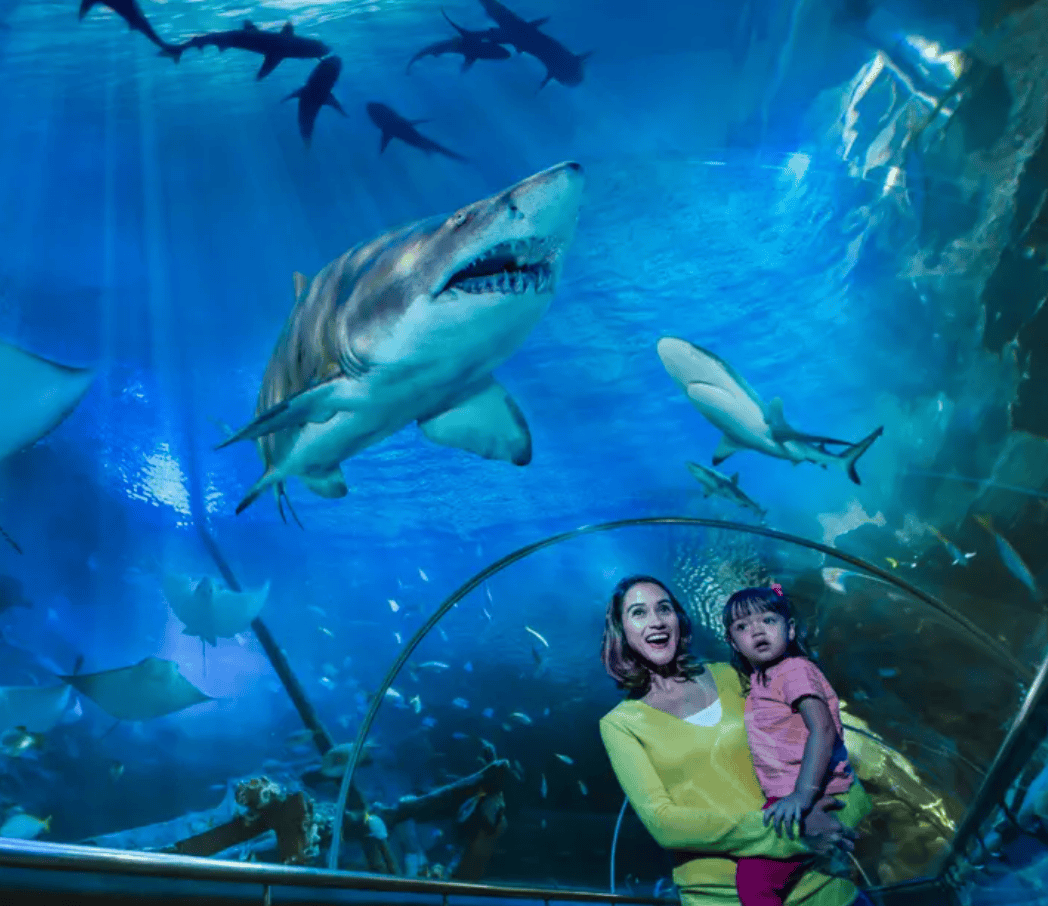 【馬來西亞親子景點｜2. 吉隆坡城中城水族館】